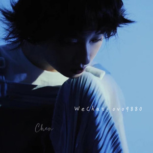 星野游戏官网免费进入网页版
