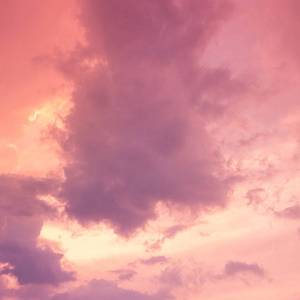 星野游戏官网免费进入网页版
