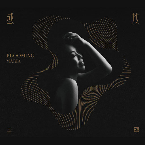 星野游戏官网免费进入网页版
